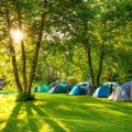 Camping De La Route Fleurie