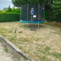 Camping de la Forge