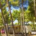 Camping AEC Vacances Les Dauphins