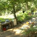 Camping Domaine Petra Pinzuta
