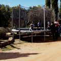 CAMPING ALQUEZAR