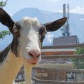 Résidence Les Villages du Bachat