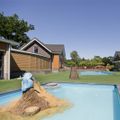 Village vacances Recreatielandgoed De IJsvogel
