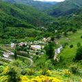 Camping l'Ardéchois 
