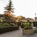 Roompot Resort Arcen 