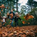 Roompot Park Eksel