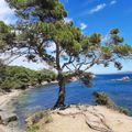 Club Belambra Presqu'ile de Giens - Riviera Beach