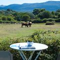Camping Gallina Varja