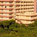 Apartamentos Delfin