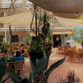 Apartamentos Delfin