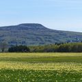 Domaine des Vans