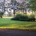 Camping de L'Etang