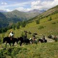 Résidence Le Goléon - Val Ecrins 