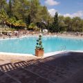 Regency Holiday sur Holiday Green