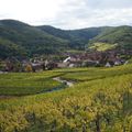 Camping Coeur d'Alsace