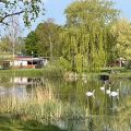 Camping Coeur d'Alsace