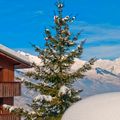 VVF Villages - Le Balcon du Mont Blanc - La Plagne Tarentaise
