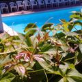 Camping Il Melo
