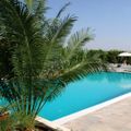 Agriturismo Terra dei Limoni