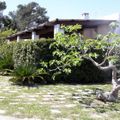 Camping Agriturismo Vignavecchia