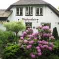 Hogenboom Vakantiepark Herperduin
