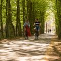 EuroParcs Hoge Kempen