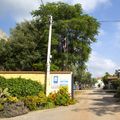 Camping Degli Ulivi