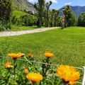 Camping Solau