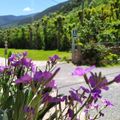Camping Solau