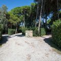 Camping Villagio dei Pini