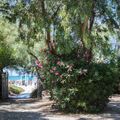 Camping Villagio dei Pini