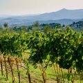 Podere Santa Clorinda - campeggio in Toscana