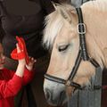 Ferienpark Geesthof