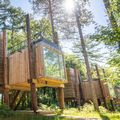Landal Forest Resort Your Nature 