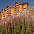 Prestige Rochebrune