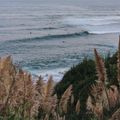 Wecamp San Sebastian