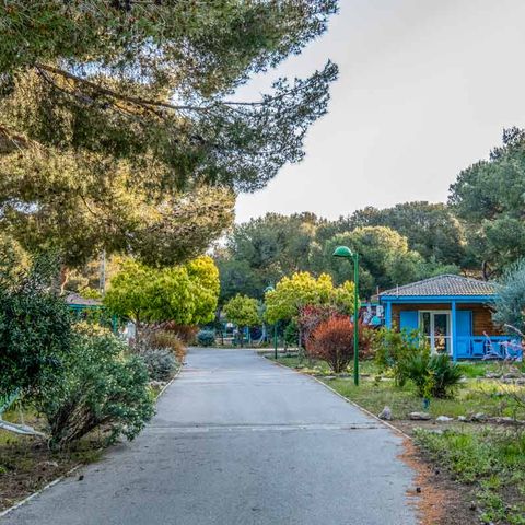 Les Chalets de la Mer - Camping Bouches-du-Rhône - Image N°6