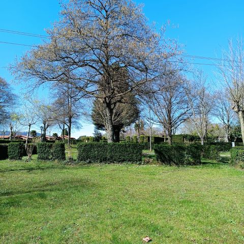 wecamp Cudillero wecamp Cudillero - Camping Asturies - Image N°5