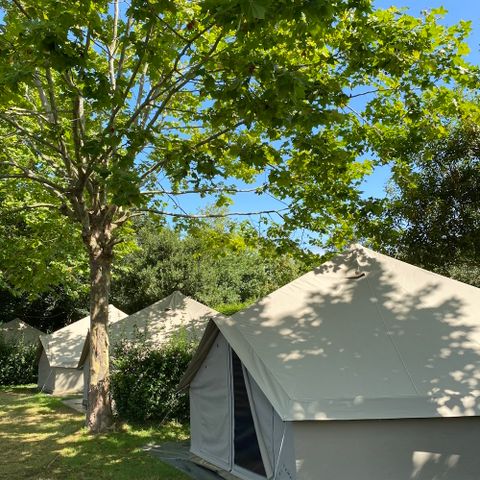 wecamp Cudillero wecamp Cudillero - Camping Asturies - Image N°3