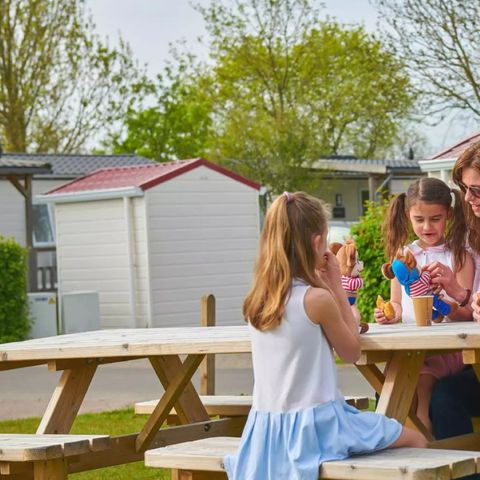 Siblu Camping de Oase Siblu Camping de Oase - Camping Renesse - Image N°3