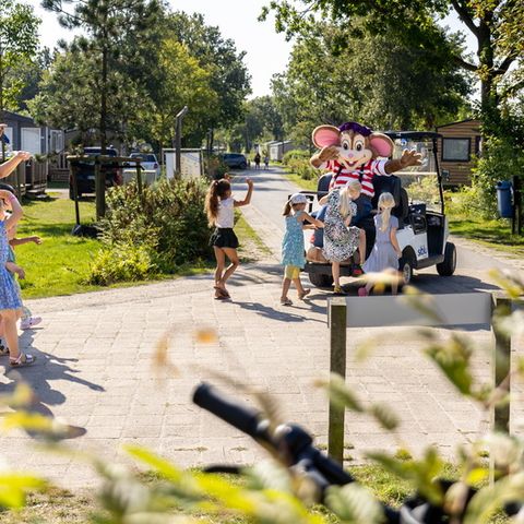 Siblu Camping Lauwersoog - Camping Het Hogeland - Image N°2