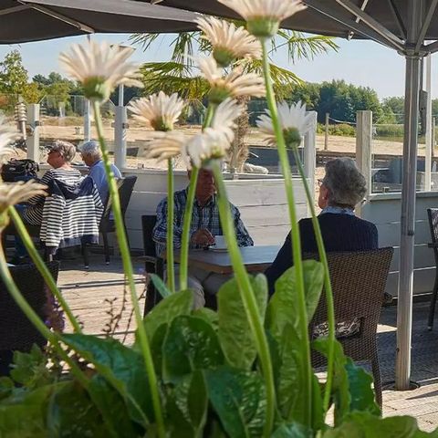 Siblu Camping Meerwijck Siblu Camping Meerwijck - Camping Midden-Groningen - Image N°2