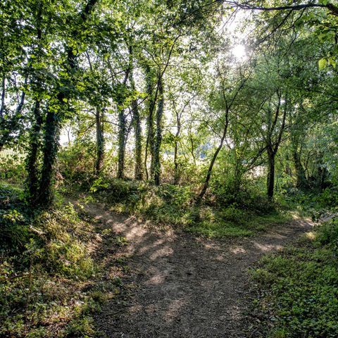 Camping Le Colombier - Camping Vendée - Image N°6
