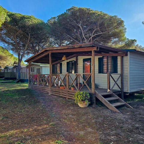 Camping S'Ena Arrubia Camping S'Ena Arrubia - Camping Oristano - Image N°3