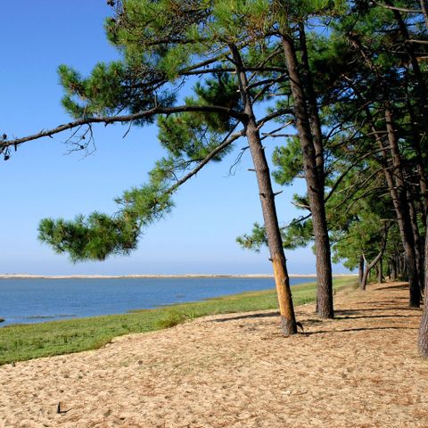 Camping Sandaya Les Mathes - Camping Charente-Maritime - Image N°2