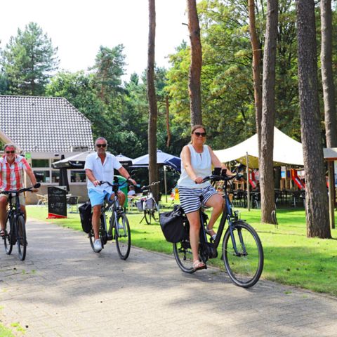 Camping Kempen Camping Kempen - Camping Flandre Occidentale - Image N°2