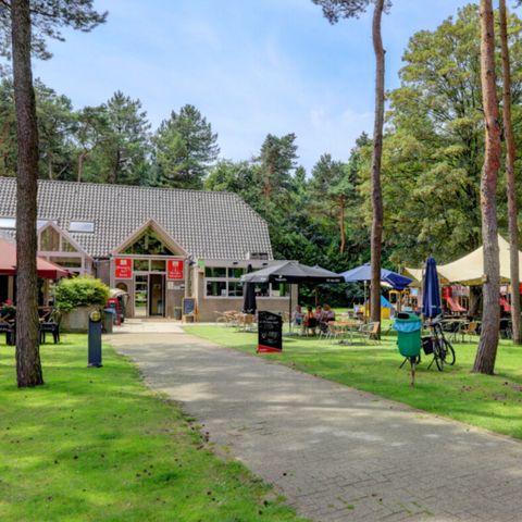 Camping Kempen Camping Kempen - Camping Flandre Occidentale - Image N°3