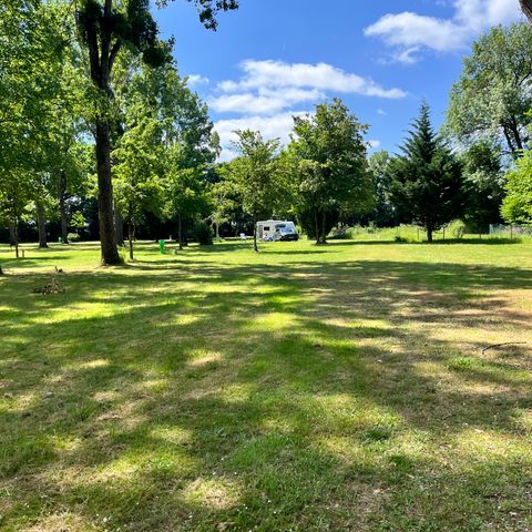 Camping Sunelia l'Etang de Sologne - Camping Loir-et-Cher - Image N°6