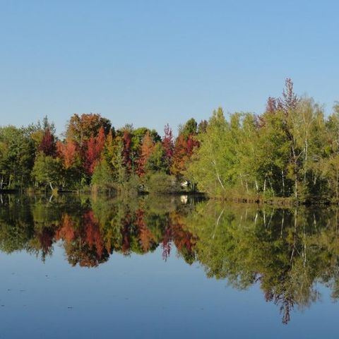 Camping Sunelia l'Etang de Sologne - Camping Loir-et-Cher - Image N°6