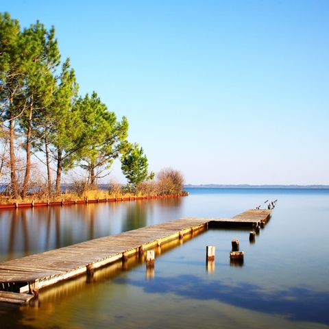  Camping Le Tedey - Camping Gironde - Image N°4